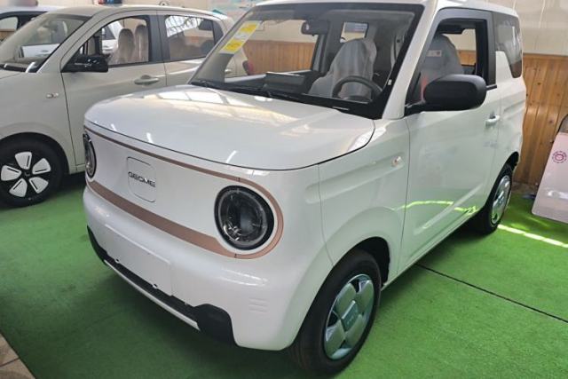 Used Geely Galaxy Panda 2024 Panda Mini 200km Endurance Bear