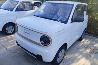 Used Geely Galaxy Panda 2024 Panda Mini 200km Endurance Bear