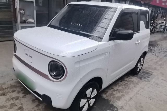 Geely Galaxy Panda 2024 Panda Mini 200km Endurance Bear usado