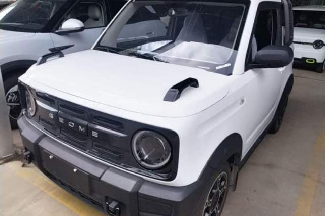Used Geely Galaxy Panda 2024 200km Panda Rider