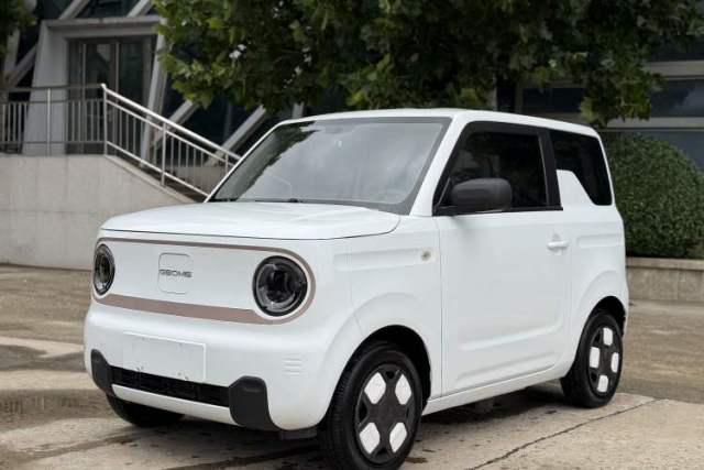 Ojetý Geely Galaxy Panda 2024 Panda Mini 200km Endurance Bear