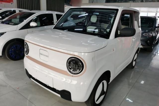 Used Geely Galaxy Panda 2024 Panda Mini 200km Endurance Bear