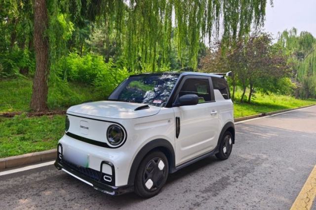 Used Geely Galaxy Panda 2024 200km Panda Kart