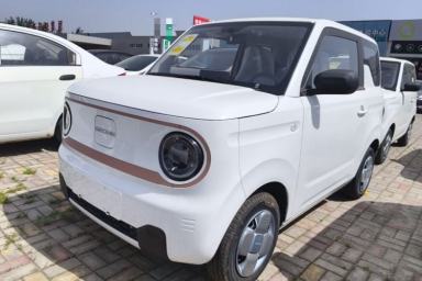 Used Geely Galaxy Panda 2024 Panda Mini 200km Endurance Bear