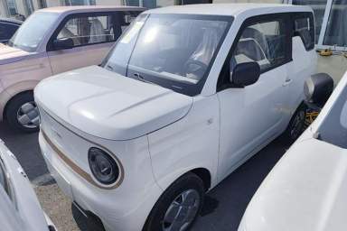 Used Geely Galaxy Panda 2024 Panda Mini 200km Endurance Bear