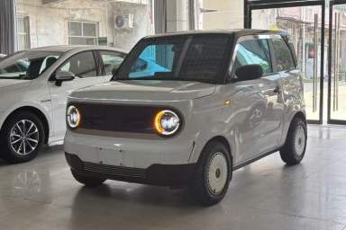 Used Geely Galaxy Panda 2024 Panda Mini 200km Endurance Bear
