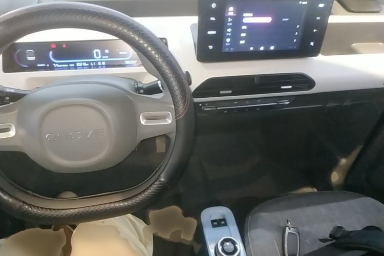 Used Geely Galaxy Panda 2024 Panda Mini 200km Endurance Bear Center Console