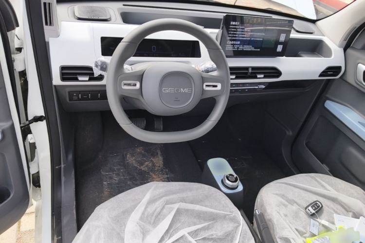 Used Geely Galaxy Panda 2024 Panda Mini 200km Endurance Bear Center Console