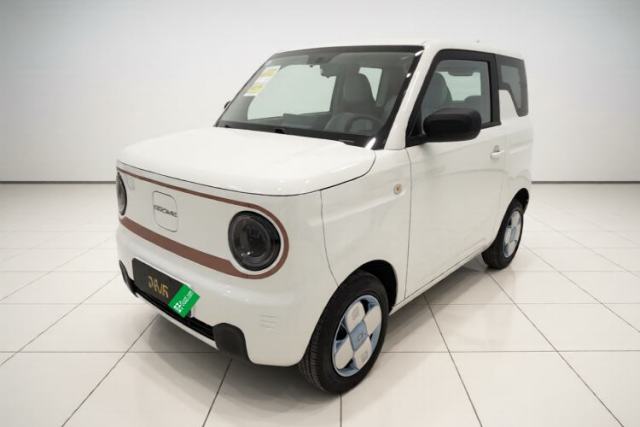 Used Geely Galaxy Panda 2024 Panda Mini 200km Endurance Bear
