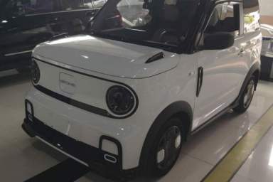 Used Geely Galaxy Panda 2024 200km Panda Kart