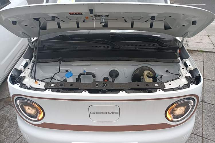 Used Geely Galaxy Panda 2024 Panda Mini 200km Endurance Bear Engine Bay