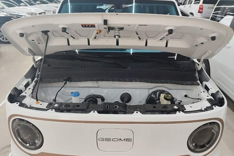 Used Geely Galaxy Panda 2024 Panda Mini 200km Endurance Bear Engine Bay