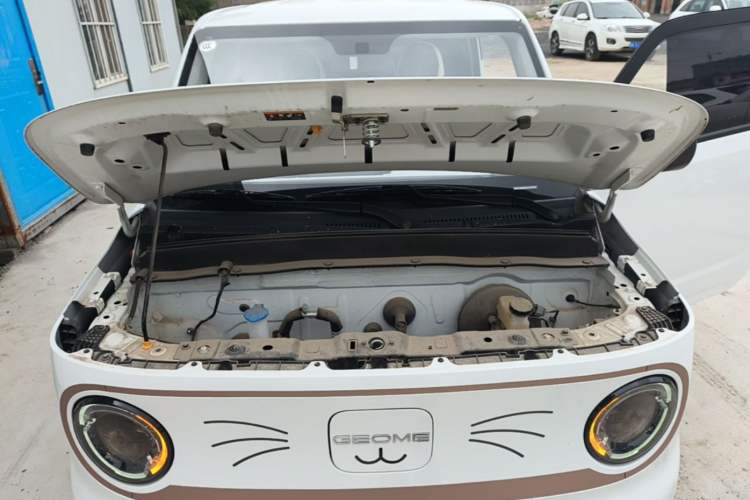 Used Geely Galaxy Panda 2024 Panda Mini 200km Endurance Bear Engine Bay