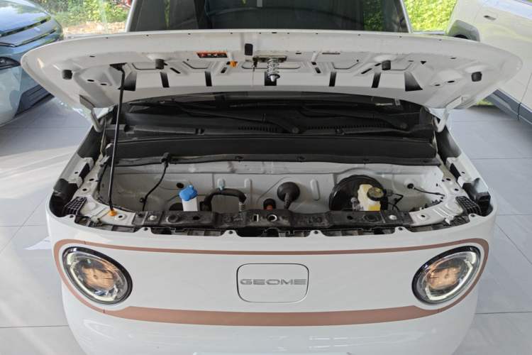 Used Geely Galaxy Panda 2024 Panda Mini 200km Endurance Bear Engine Bay