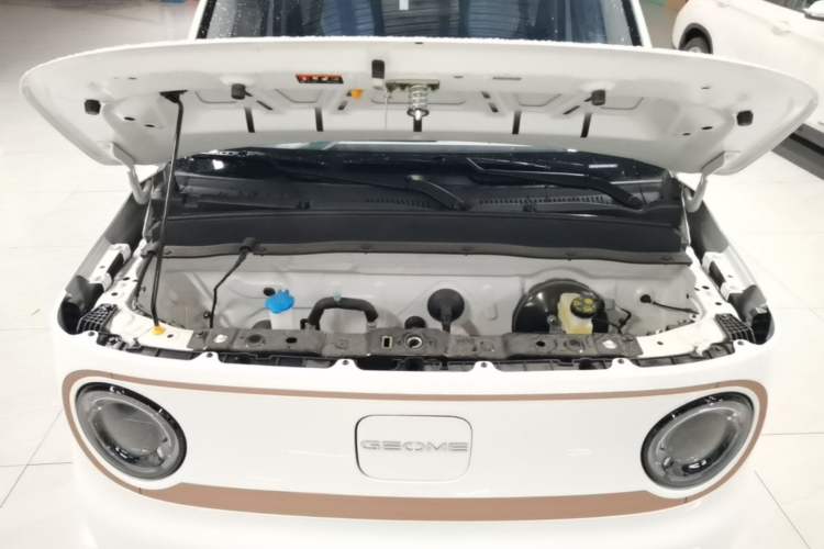 Used Geely Galaxy Panda 2024 Panda Mini 200km Endurance Bear Engine Bay