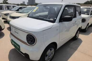 Used Geely Galaxy Panda 2024 Panda Mini 200km Endurance Bear