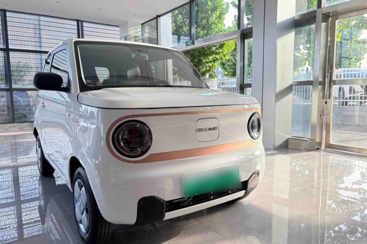 Used Geely Galaxy Panda 2024 Panda Mini 200km Longteng PRO Edition Exterior 2