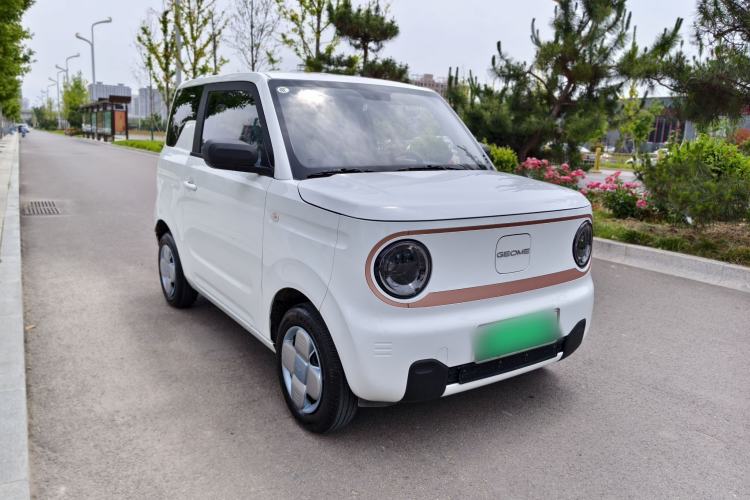 Used Geely Galaxy Panda 2024 Panda Mini 200km Endurance Bear Exterior 2