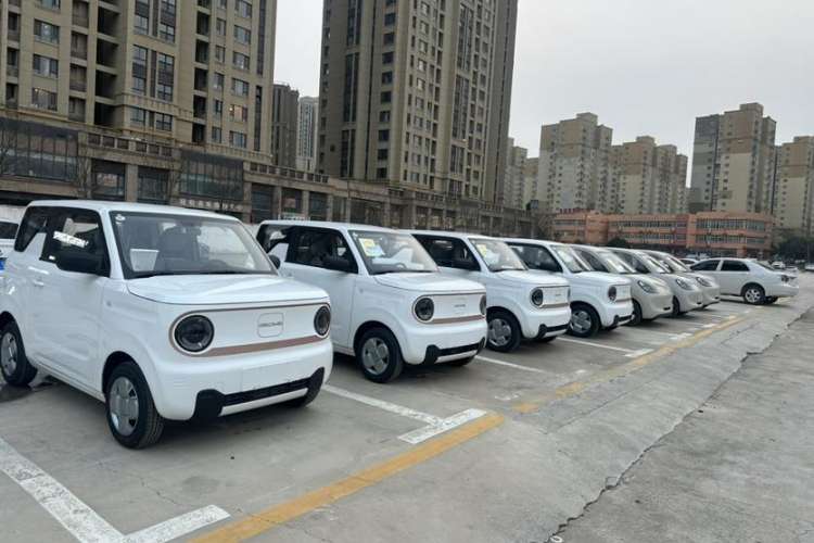 Used Geely Galaxy Panda 2024 Panda Mini 200km Endurance Bear Exterior 3