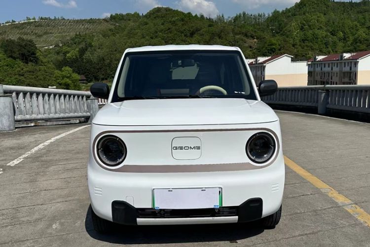 Used Geely Galaxy Panda 2024 Panda Mini 200km Endurance Bear Exterior 6