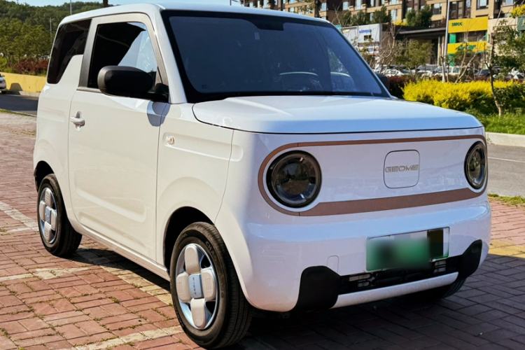 Used Geely Galaxy Panda 2024 Panda Mini 200km Endurance Bear Exterior 6