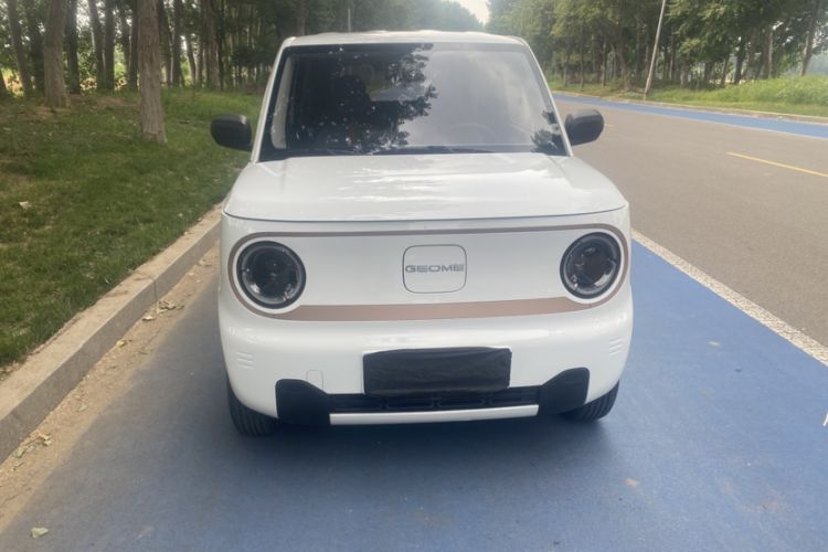 Used Geely Galaxy Panda 2024 Panda Mini 200km Endurance Bear Exterior 8