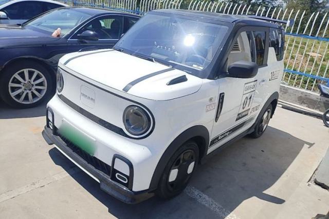 Used Geely Galaxy Panda 2024 200km Panda Kart