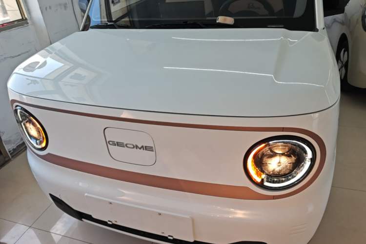 Used Geely Galaxy Panda 2024 Panda Mini 200km Endurance Bear Front
