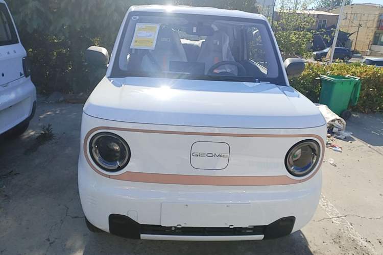 Used Geely Galaxy Panda 2024 Panda Mini 200km Endurance Bear Front
