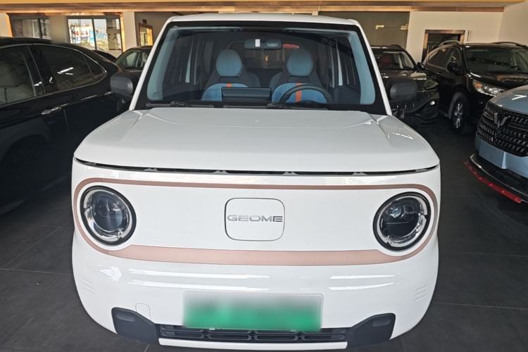 Used Geely Galaxy Panda 2024 Panda Mini 200km Endurance Bear Front