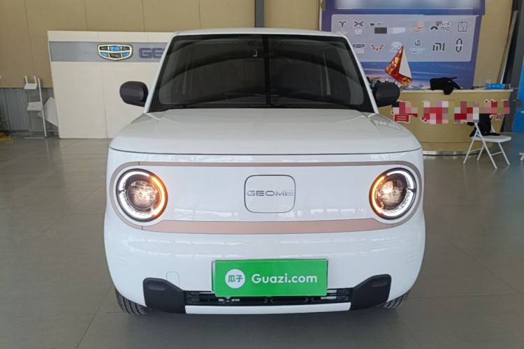 Used Geely Galaxy Panda 2024 Panda Mini 200km Endurance Bear Front