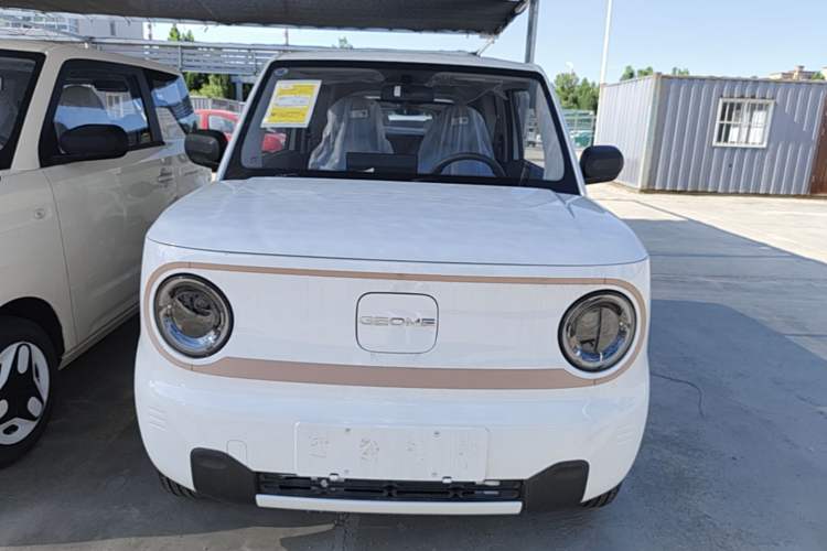 Used Geely Galaxy Panda 2024 Panda Mini 200km Endurance Bear Front