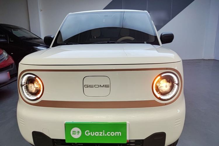 Used Geely Galaxy Panda 2024 Panda Mini 200km Endurance Bear Front