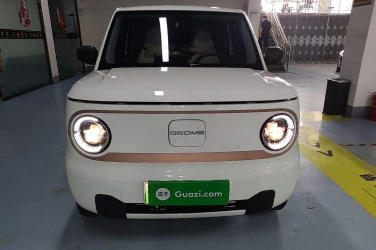 Used Geely Galaxy Panda 2024 Panda Mini 200km Endurance Bear Front