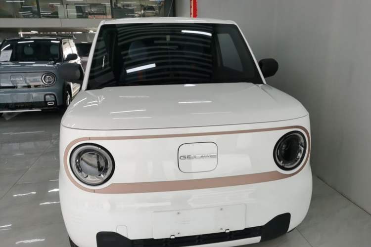 Used Geely Galaxy Panda 2024 Panda Mini 200km Endurance Bear Front