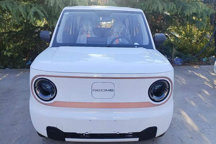 Used Geely Galaxy Panda 2024 Panda Mini 200km Endurance Bear Front