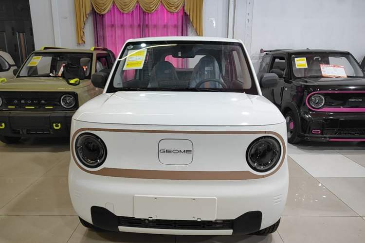 Used Geely Galaxy Panda 2024 Panda Mini 200km Endurance Bear Front