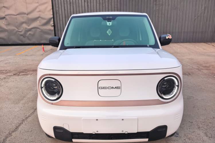 Used Geely Galaxy Panda 2024 Panda Mini 200km Endurance Bear Front
