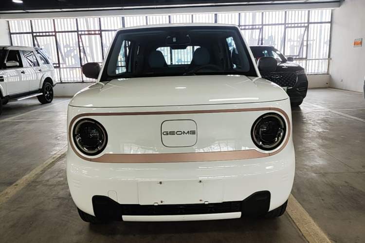 Used Geely Galaxy Panda 2024 Panda Mini 200km Endurance Bear Front