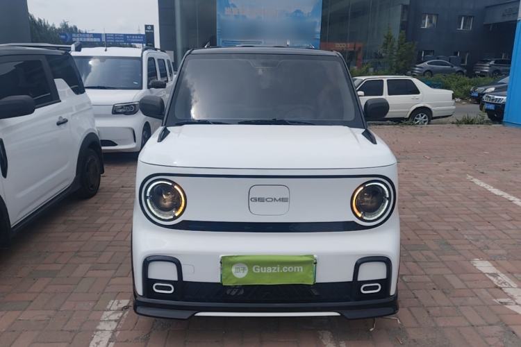 Used Geely Galaxy Panda 2024 200km Panda Kart Front