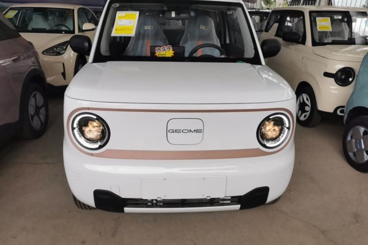 Used Geely Galaxy Panda 2024 Panda Mini 200km Endurance Bear Front