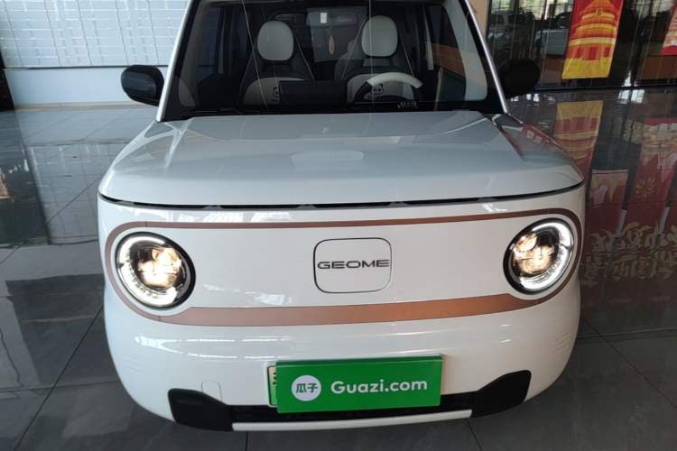 Used Geely Galaxy Panda 2024 Panda Mini 200km Endurance Bear Front