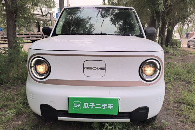 Used Geely Galaxy Panda 2024 Panda Mini 200km Endurance Bear Front