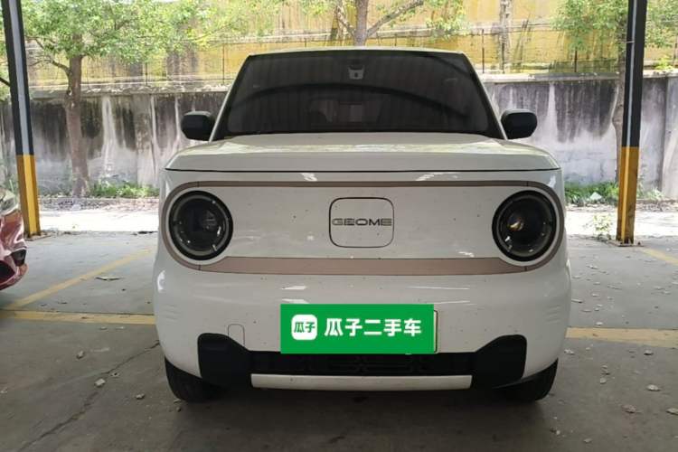Used Geely Galaxy Panda 2024 Panda Mini 200km Endurance Bear Front