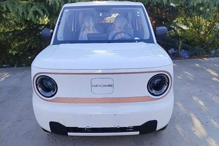 Used Geely Galaxy Panda 2024 Panda Mini 200km Endurance Bear Front