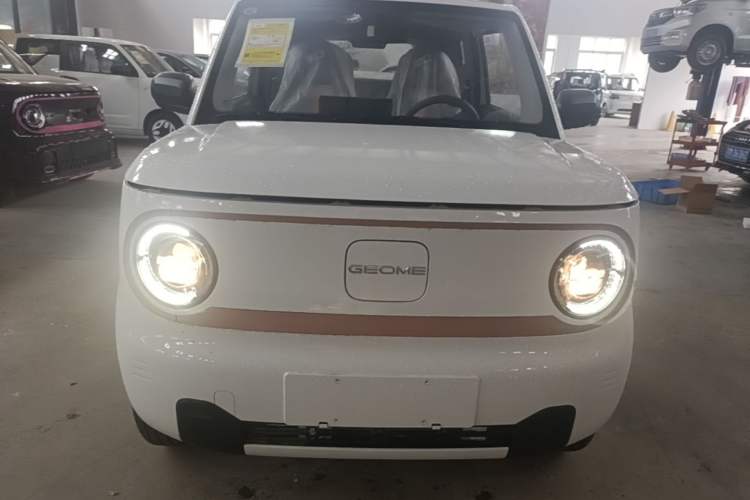 Used Geely Galaxy Panda 2024 Panda Mini 200km Endurance Bear Front
