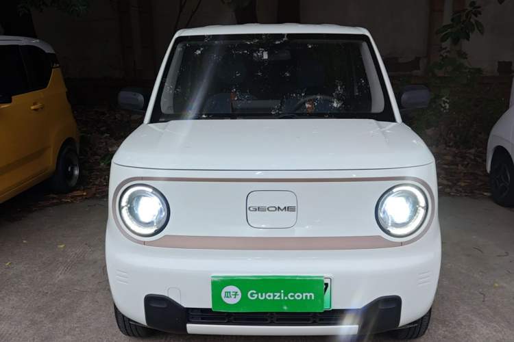 Used Geely Galaxy Panda 2024 Panda Mini 200km Endurance Bear Front