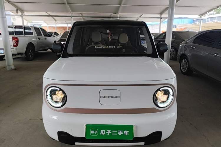 Used Geely Galaxy Panda 2024 Panda Mini 200km Endurance Bear Front