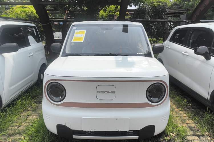 Used Geely Galaxy Panda 2024 Panda Mini 200km Endurance Bear Front
