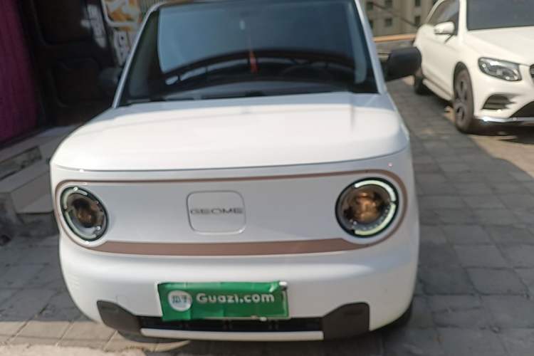 Used Geely Galaxy Panda 2024 Panda Mini 200km Endurance Bear Front